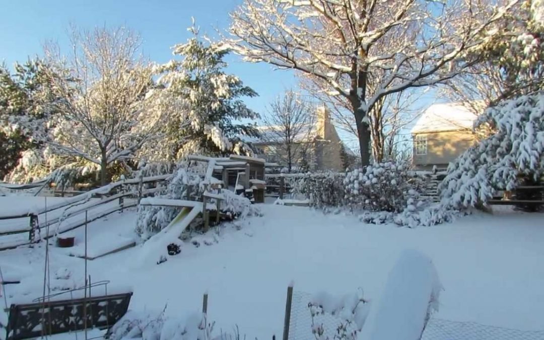 Let It, Snow! Advice for Winter-Proofing Your Garden